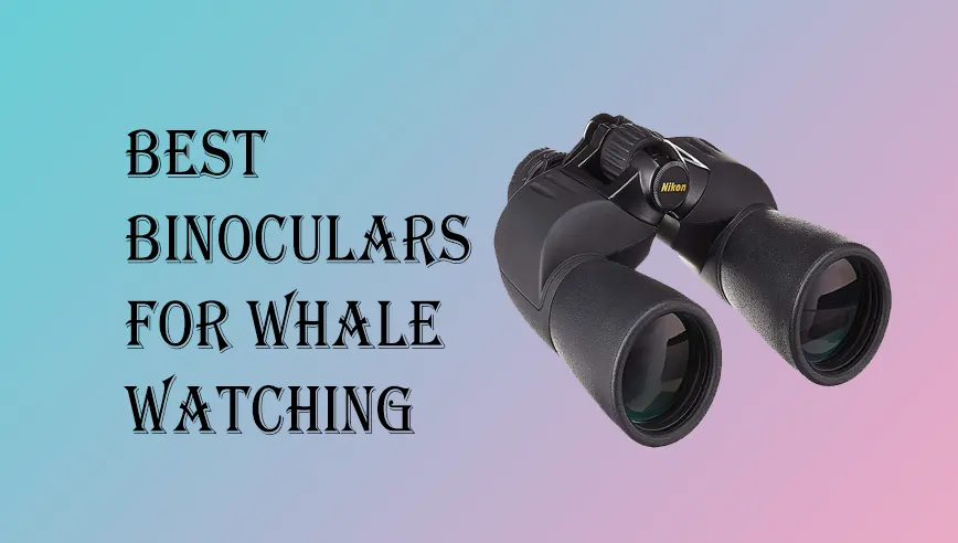 Best Binoculars for Whale Watching