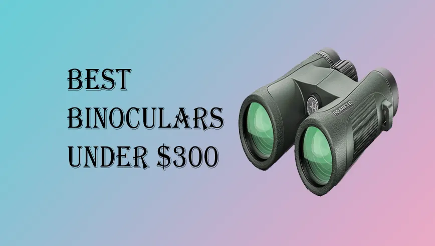 Best Binoculars Under $300