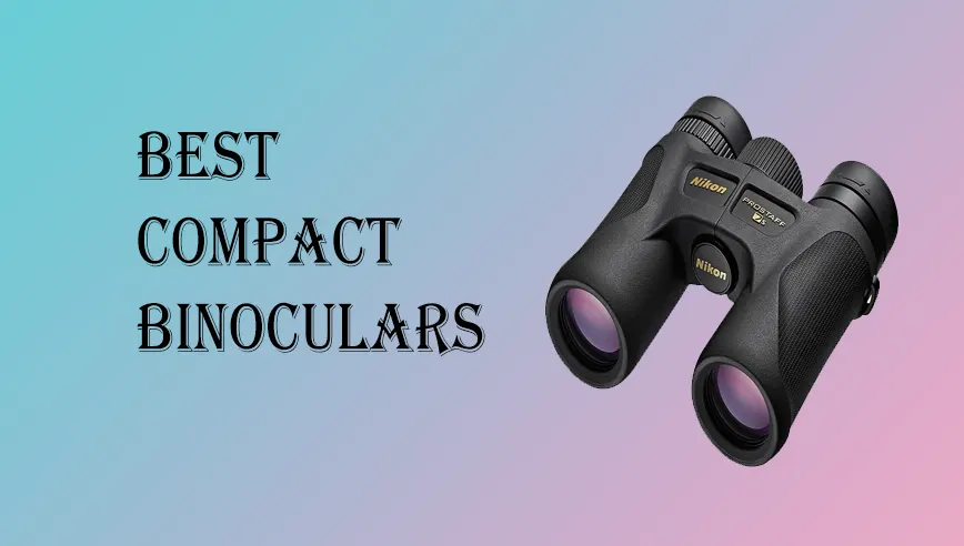 Best Compact Binoculars in 2022